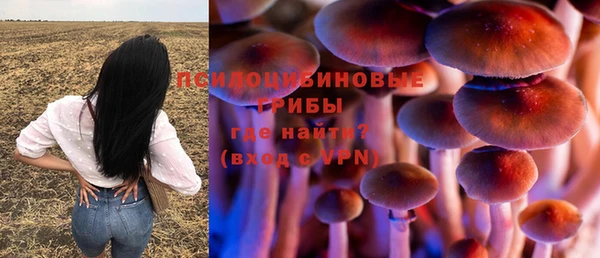 MESCALINE Белокуриха