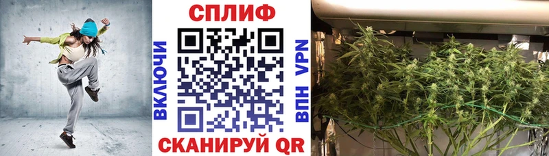 Конопля THC 21%  Купить  Гдов 